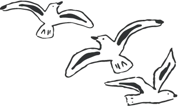Ilustración decorativa de aves